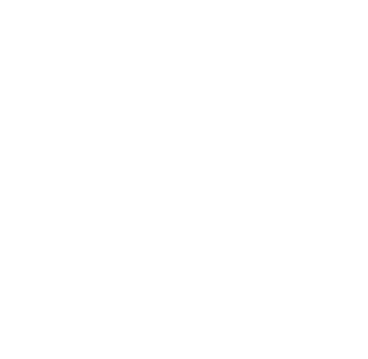 Icon mit weißer Kontur: Netzwerk.